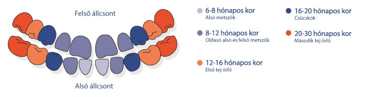 A gyermekek fogainak egészségének kihívásai