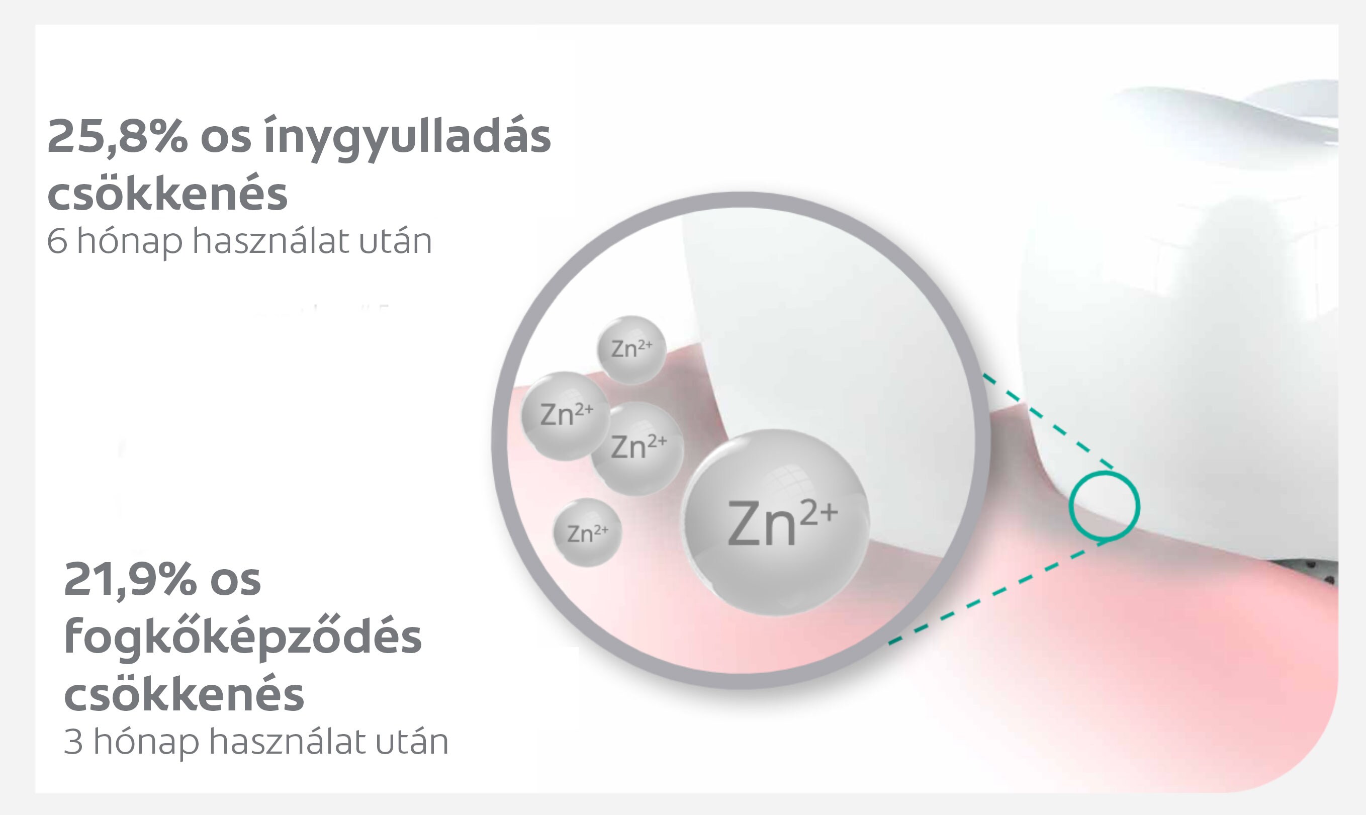 Ezen felül az elmex Sensitive professional Repair and preventben található cink antibakteriális hatása miatt megelőzi az ínyvisszahúzódást